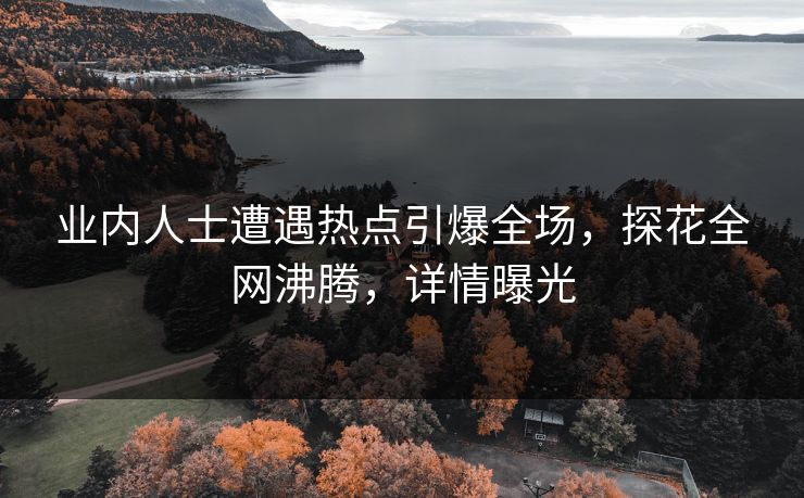 业内人士遭遇热点引爆全场，探花全网沸腾，详情曝光