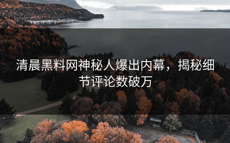 清晨黑料网神秘人爆出内幕，揭秘细节评论数破万