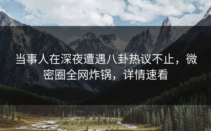 当事人在深夜遭遇八卦热议不止，微密圈全网炸锅，详情速看