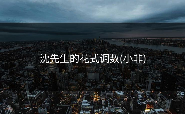 沈先生的花式调数(小非)