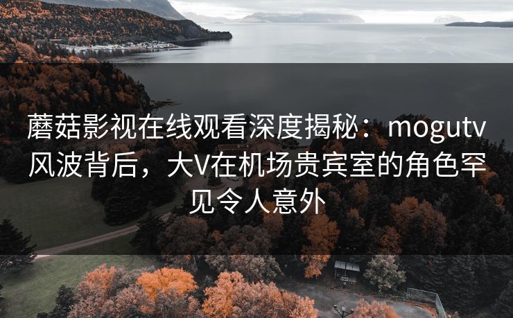 蘑菇影视在线观看深度揭秘：mogutv风波背后，大V在机场贵宾室的角色罕见令人意外